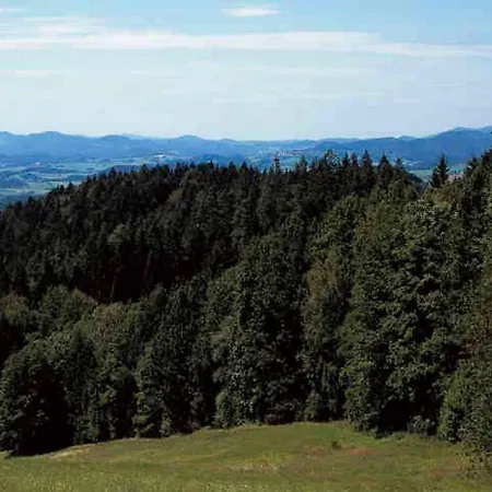 Wellness Hauser Hof Apartamento Waldkirchen